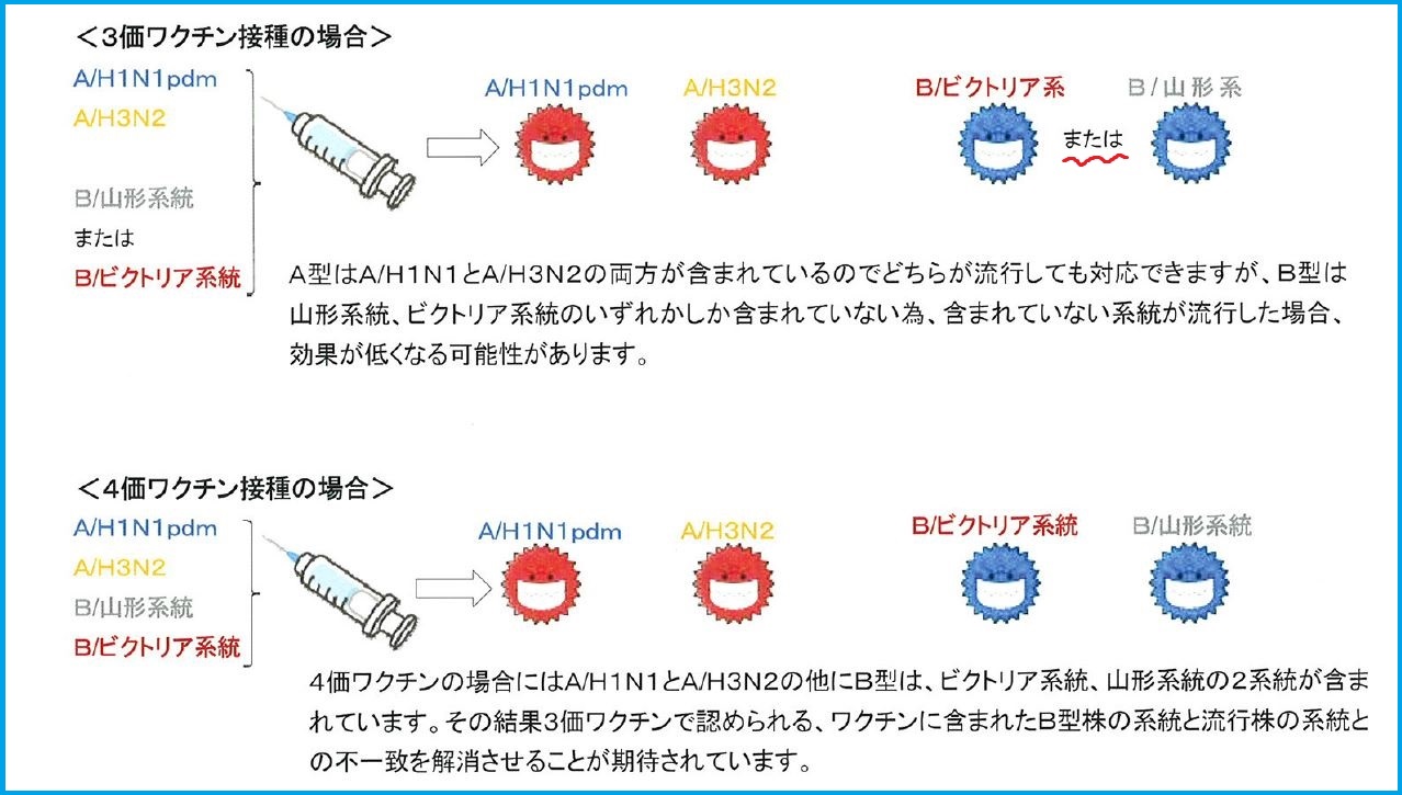 4価インフルエンザワクチン