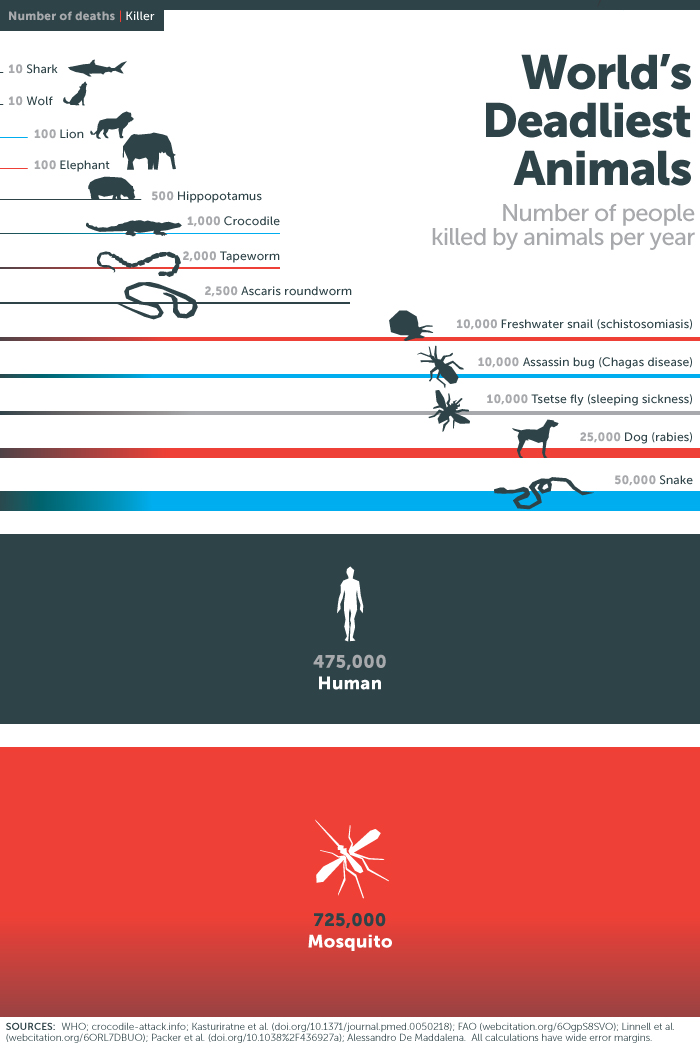 地球上でで最も人間を殺している生物